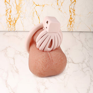 Coral Shell - Small chastity cage - Oxy - shop