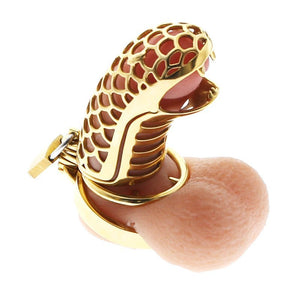 24K Gold Dragon Chastity FLAT Ring 3.34" / 85mm - Oxy-shop