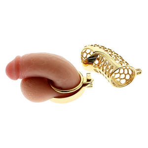 24K Gold Dragon Chastity FLAT Ring 3.34" / 85mm - Oxy-shop