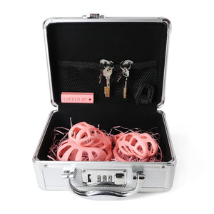 ALL IN ONE - "The Guardian" Accessories set - PINK - Oxy-shop
