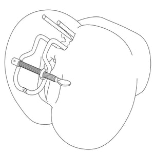 Anal & Vaginal Speculum / Spreader - Oxy-shop