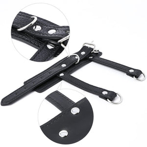 Balls on Leash - Oxy-shop