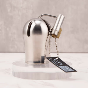 CH29 - Luxury PA Chastity Cage / Titanium PA Lock - Oxy-shop