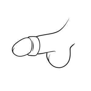 Glans Ring - All Sizes - Oxy-shop