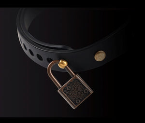 Little devil - App controlled Electric shock Collar - By Qiui - Oxy-shop