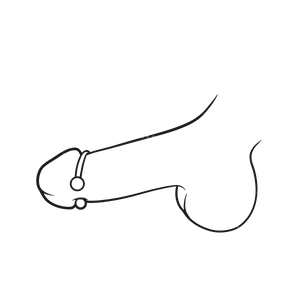 OXY01 - Glans rings - Oxy-shop