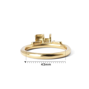 ★Spare part - GOLD platted Ring - For Guardian & Phantom - Oxy-shop