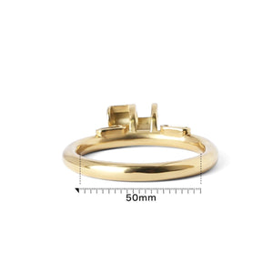 ★Spare part - GOLD platted Ring - For Guardian & Phantom - Oxy-shop