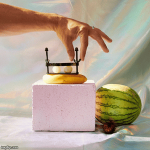 Stainless Steel Ball Smasher / Squeezer / Crusher