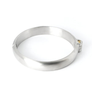 Stainless Steel Slave Collar with Ring - Male or Woman - Oxy-shop