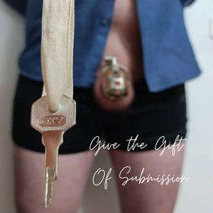 STEEL The Guardian - Quality Chastity - Oxy-shop