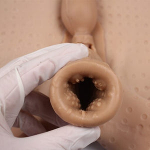 Vagina Prosthetic – Penetrable / Custom Color - Oxy-shop