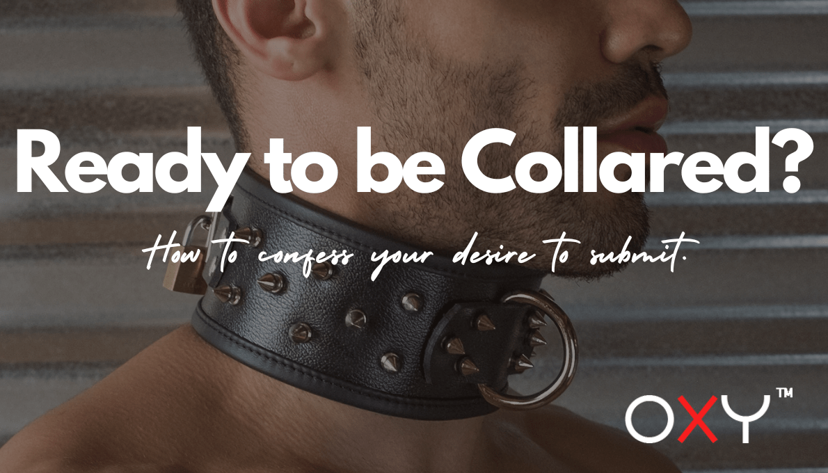 How to Tell Your Partner You Want to Wear a Collar and Submit - Oxy-shop