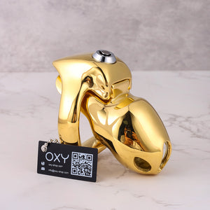 HTV5 Steel 24K Gold Coated - Smart lock feature