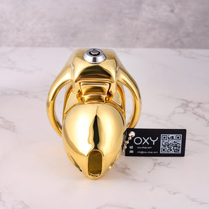 HTV5 Steel 24K Gold Coated - Smart lock feature