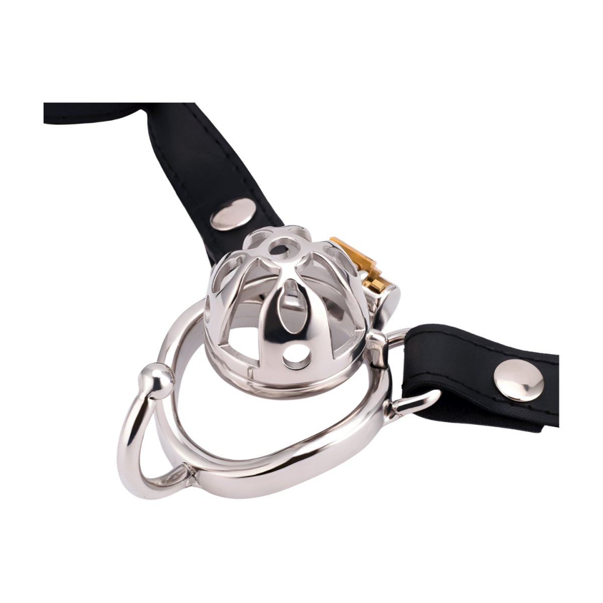 CH56 - Short Chastity Cage & Cock Ring with Ears - Oxy-shop
