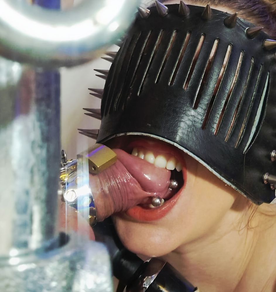 Cock and Balls Torture Set - Not for Beginner - Oxy - shop