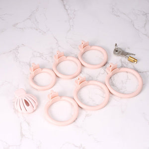 Coral Shell - Small chastity cage - Oxy - shop