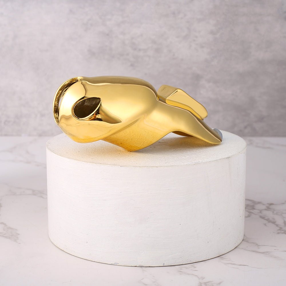 HTV5 Steel 24K Gold Coated - Smart lock feature - Oxy - shop