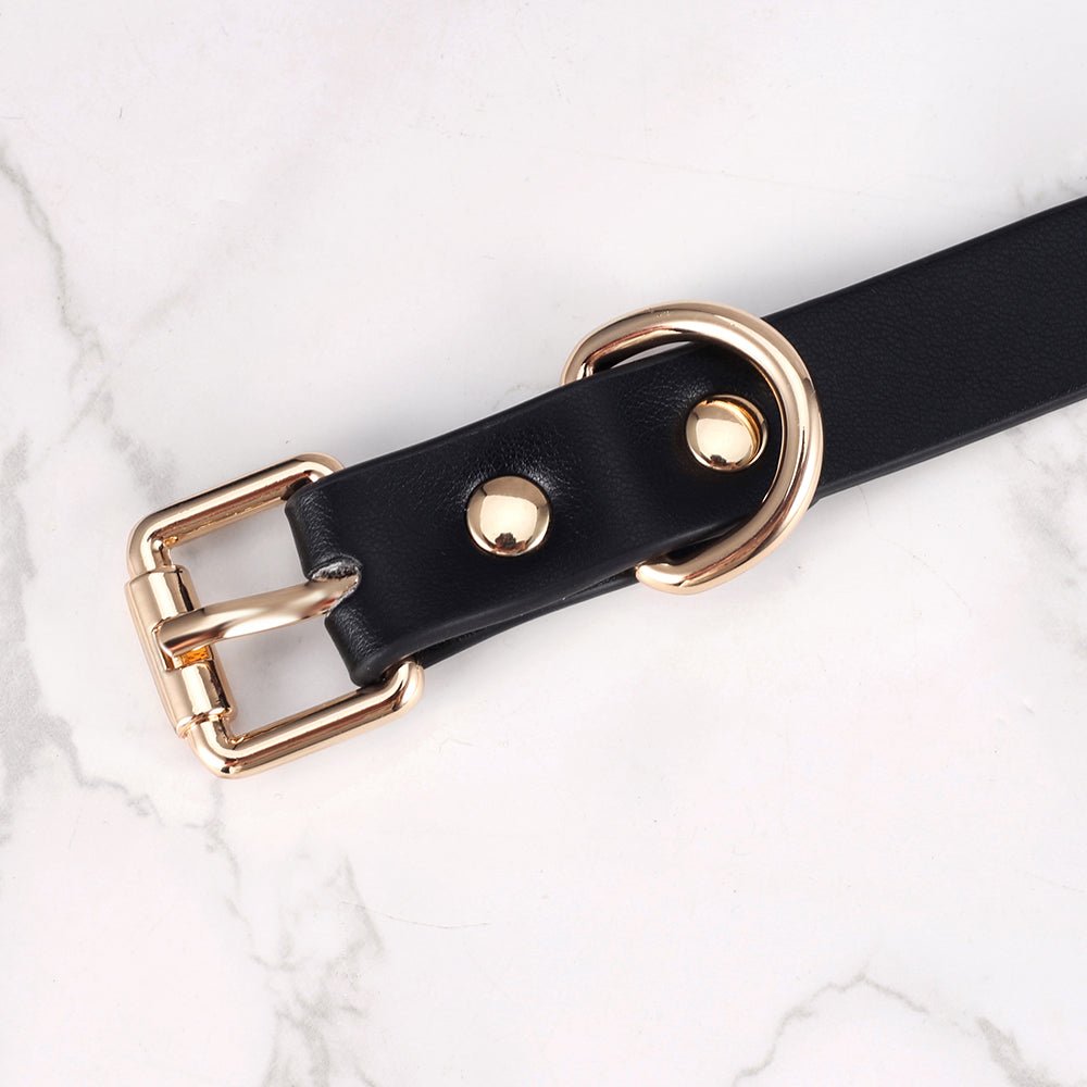 Mandy's Collar & Self Discpline Box - Oxy - shop