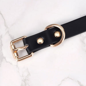 Mandy's Collar & Self Discpline Box - Oxy - shop