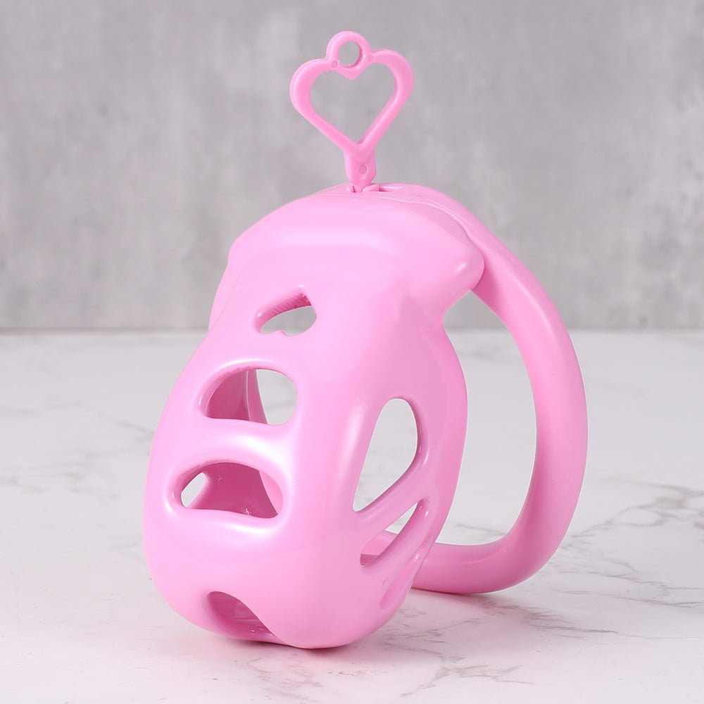 PinkPrison – Mini Chastity Kit - Oxy-shop