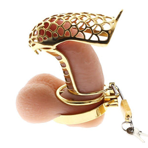 24K Gold Dragon Chastity FLAT Ring 3.34" / 85mm - Oxy-shop
