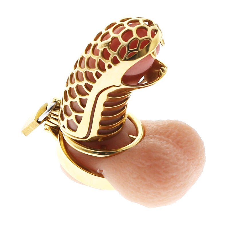 24K Gold Dragon Chastity FLAT Ring 3.34" / 85mm - Oxy-shop