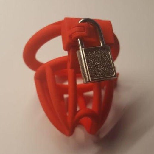 3D Printed Padlock Holder - Oxy-shop