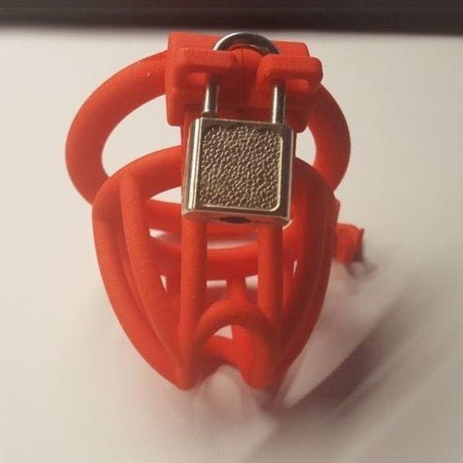 3D Printed Padlock Holder - Oxy-shop