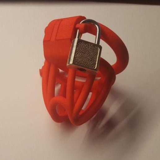 3D Printed Padlock Holder - Oxy-shop