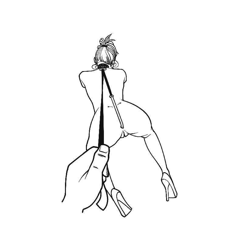 Anal Hook - 2 (Big and Medium) Balls - Oxy-shop