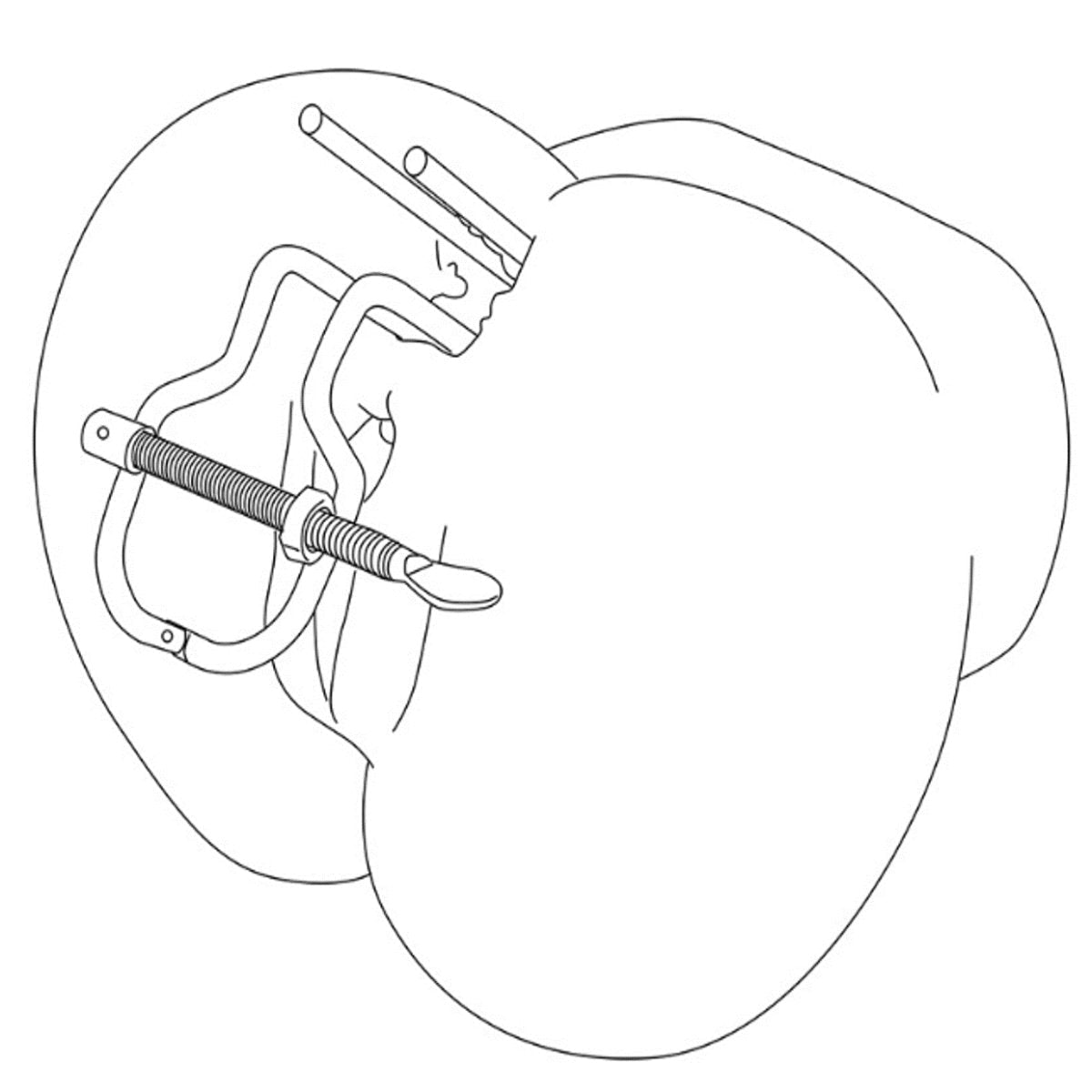 Anal & Vaginal Speculum / Spreader - Oxy-shop