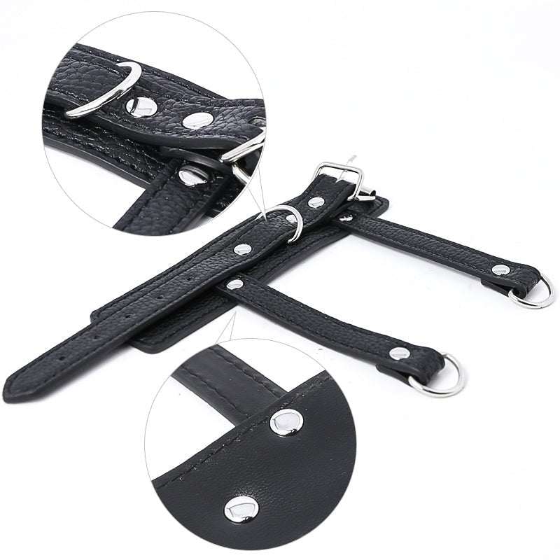 Balls on Leash - Oxy-shop