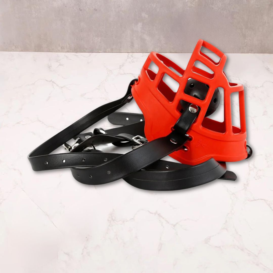BDSM dog Muzzle harness with ball gag - Oxy-shop