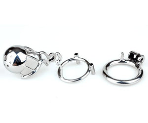 CH39 - Dome PA Chastity - Oxy-shop