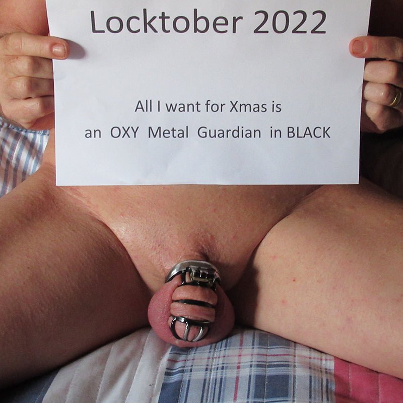 Chastity Discovery Set - Locked in Steel - Oxy-shop