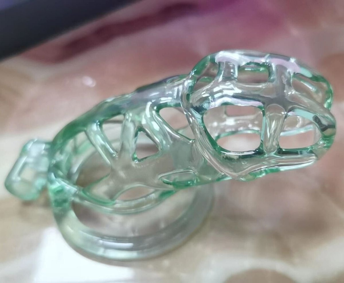 Custom Size - The guardian - 3D printed chastity Premium Paint - Oxy-shop