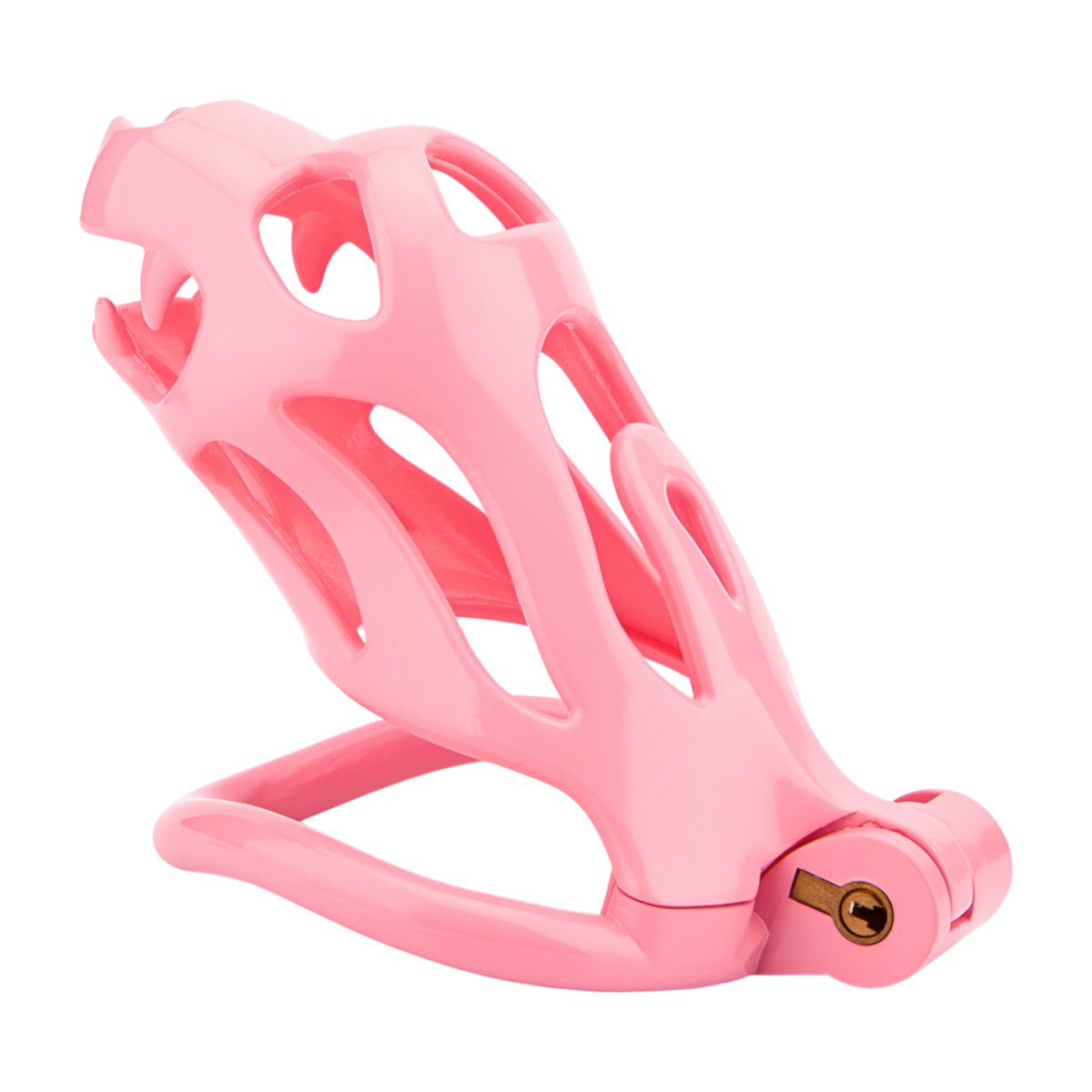 Dragon Head Chastity Cage - Oxy-shop