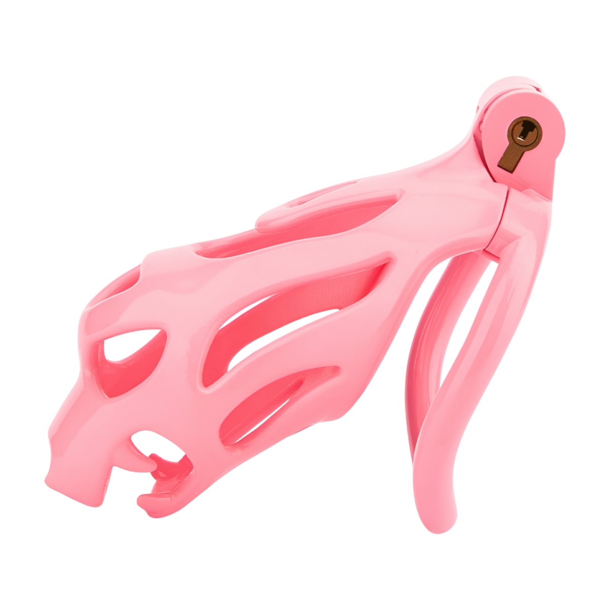 Dragon Head Chastity Cage - Oxy-shop