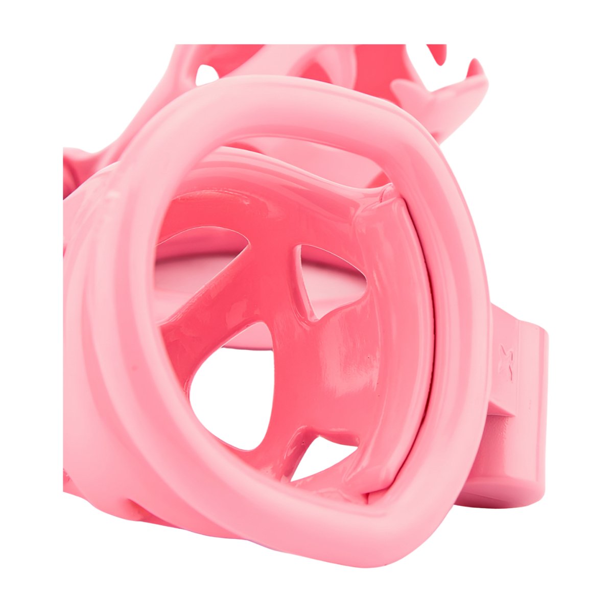 Dragon Head Chastity Cage - Oxy-shop