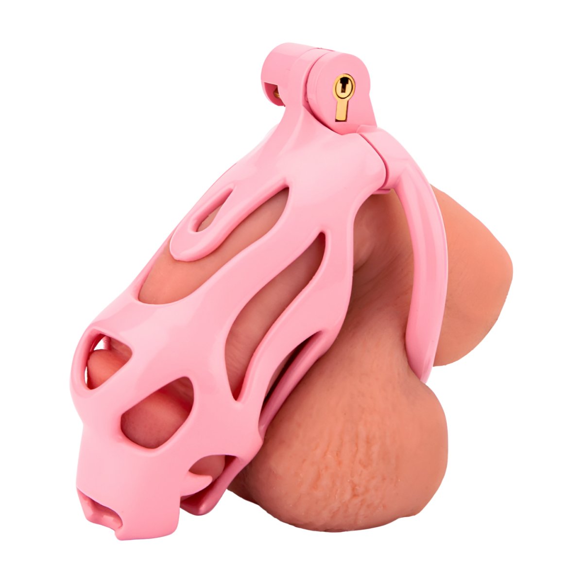 Dragon Head Chastity Cage - Oxy-shop