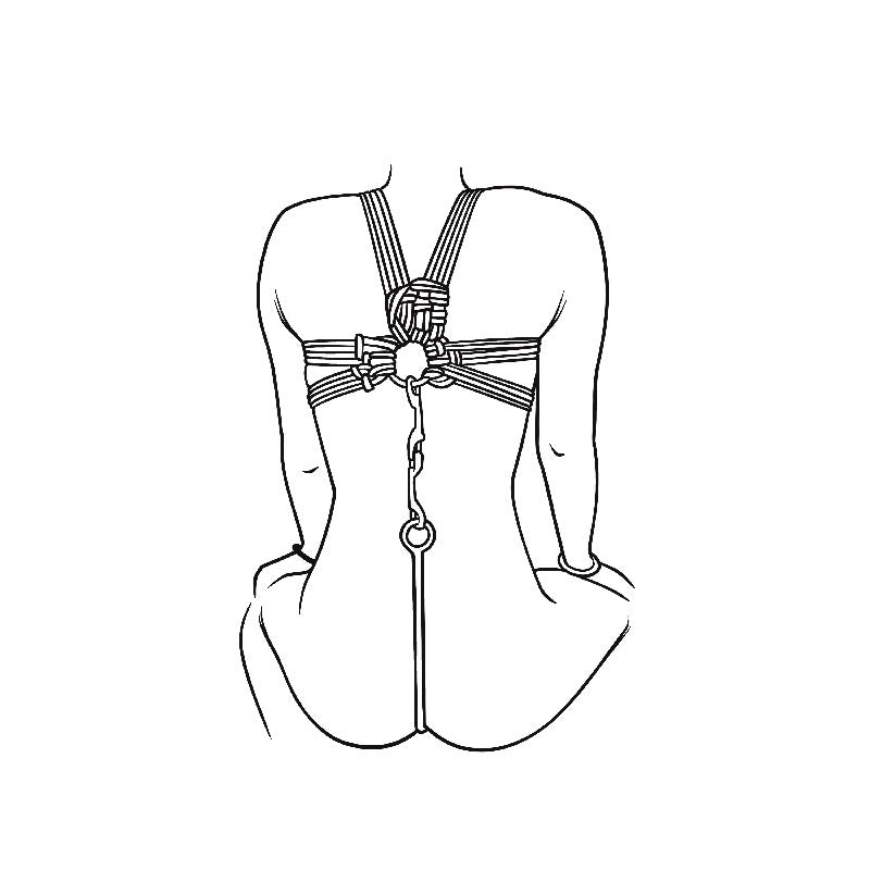 Looking to Double the Pleasure with Vaginal Plug BDSM? Looking to Double the Pleasure with Vaginal Plug BDSM?