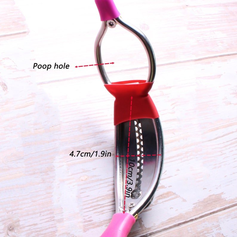 Female Chastity belt - Canopus - Oxy-shop