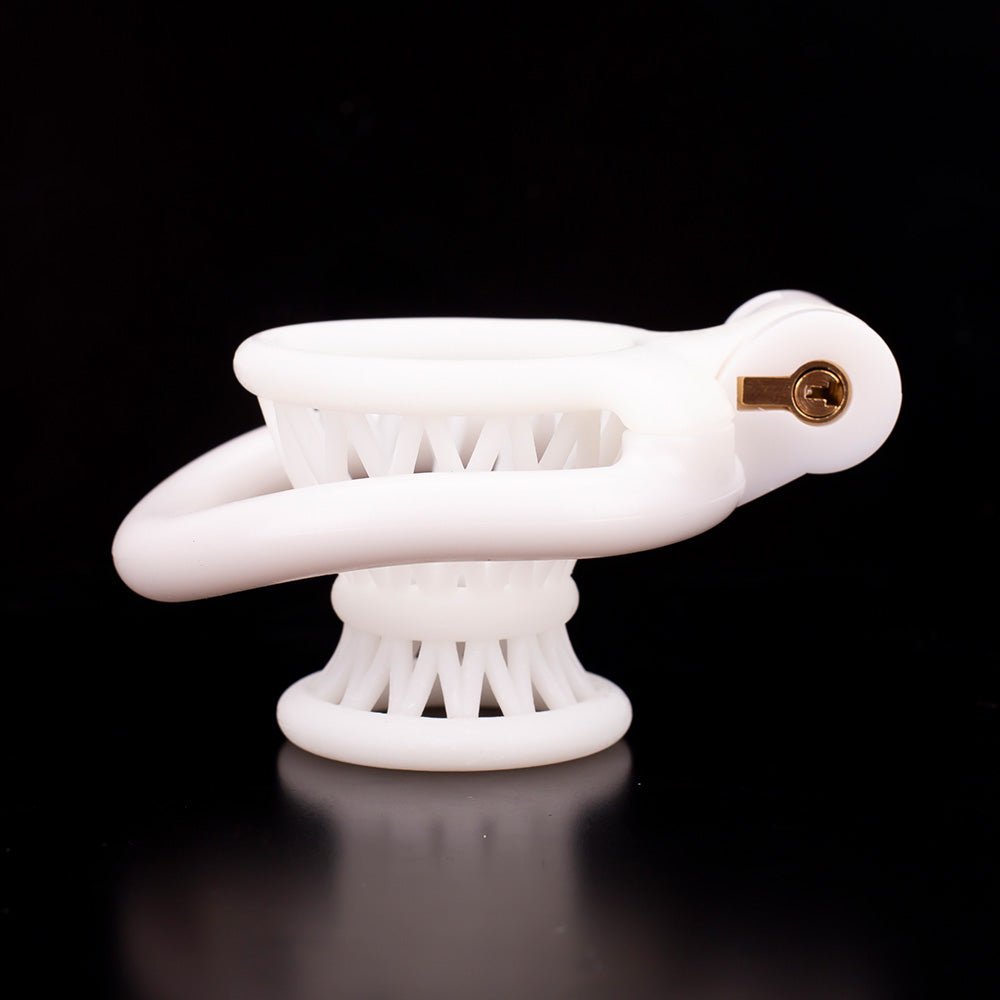 Inverted Sissy Chastity Plastic - Bury it - Oxy-shop