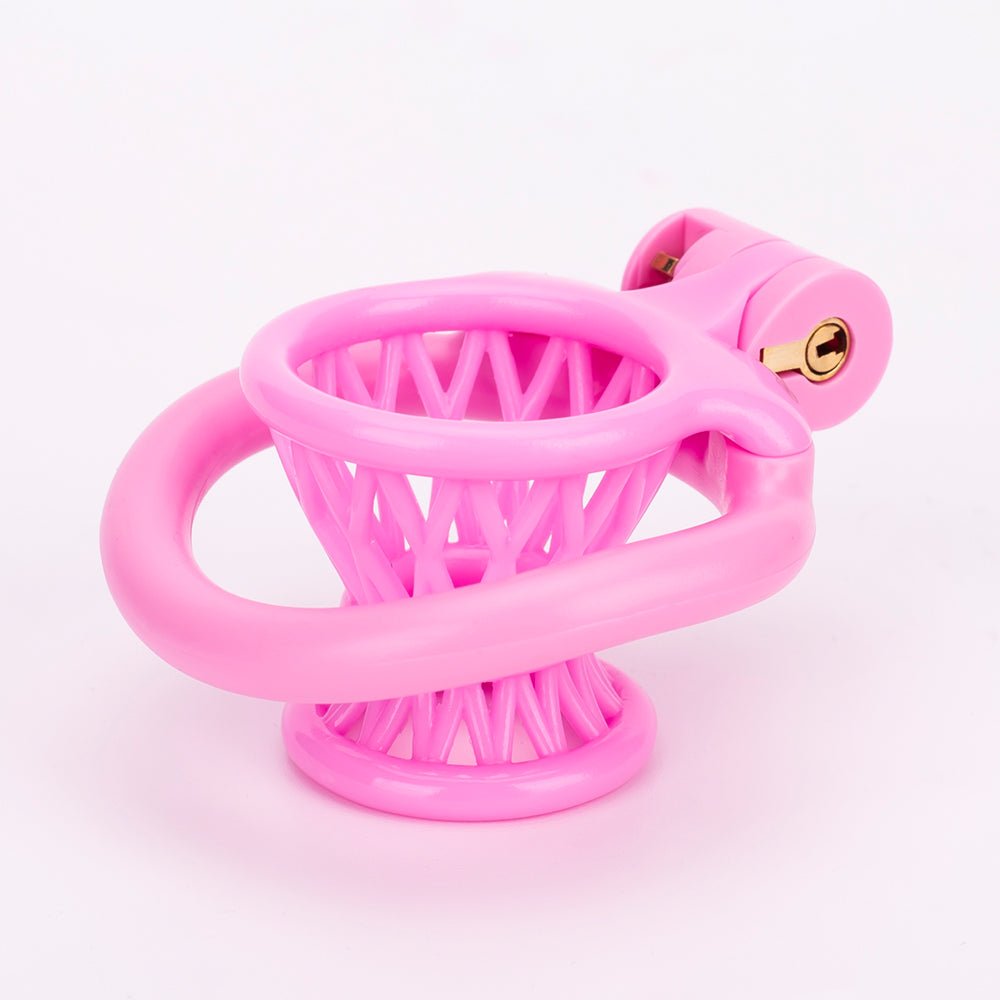 Inverted Sissy Chastity Plastic - Bury it