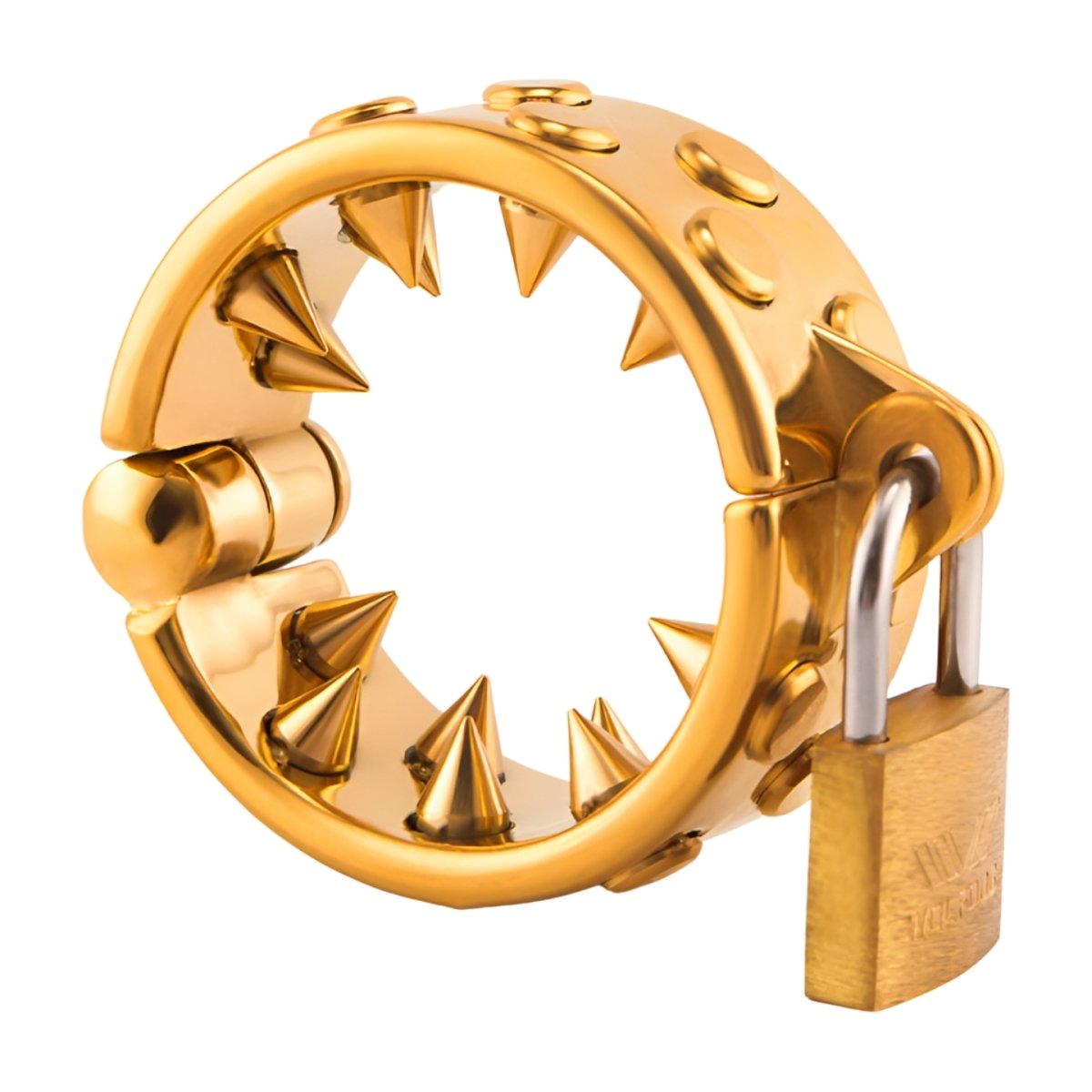 Kali's Teeth - Silver Non Removable Teeth - Oxy-shop