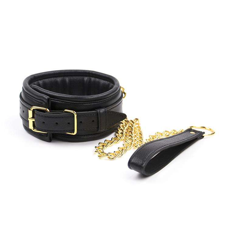 Luxury Collar With Leash - Oxy-shop