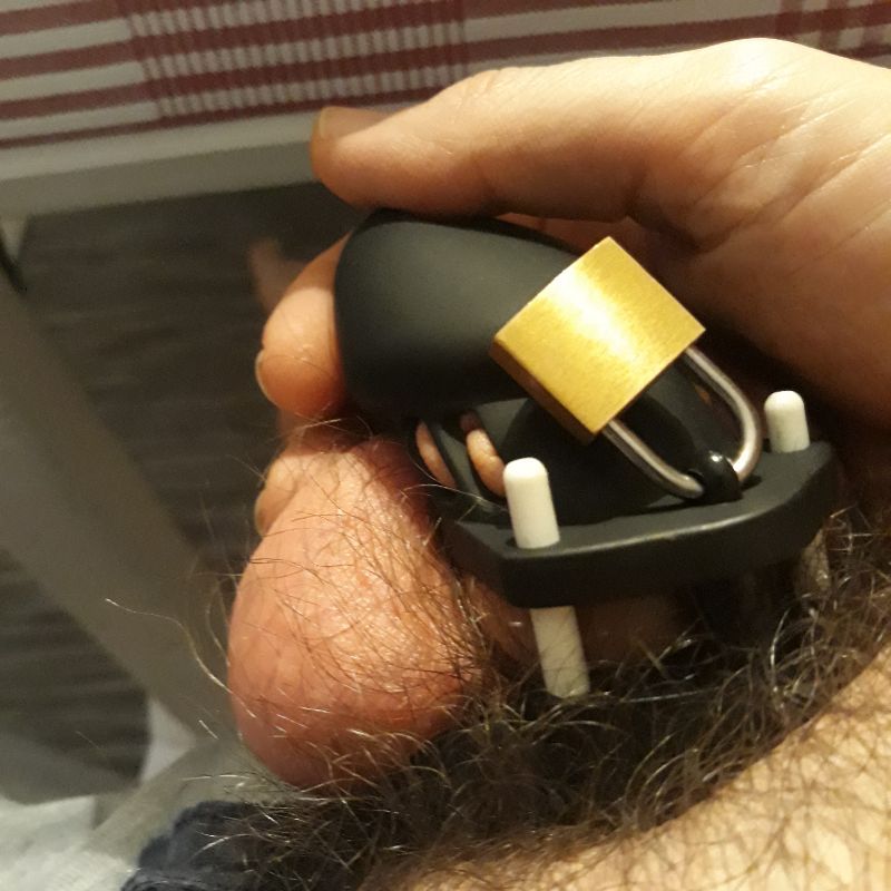 P4 - Cock cage - 5 Rings - 4 Colors - Oxy-shop