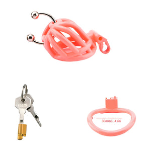 Prince Albert Optimized Chastity - Oxy-shop